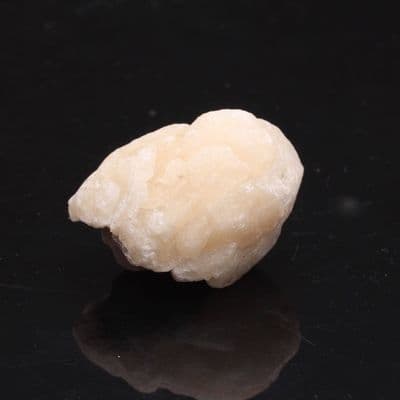 Golden Coracalcite 5