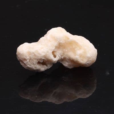 Golden Coracalcite 6