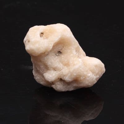 Golden Coracalcite 7