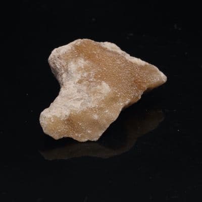 Golden Coracalcite 8