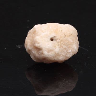 Golden Coracalcite 9