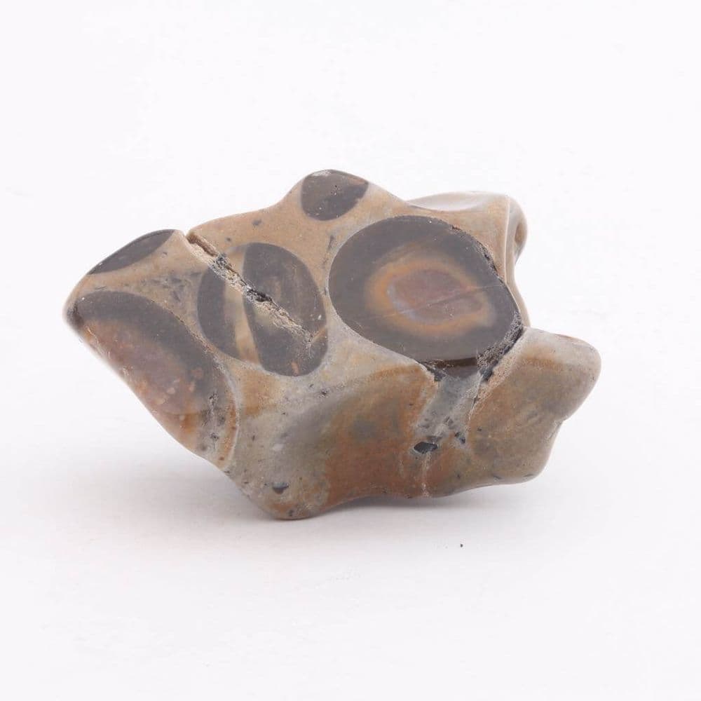 Puddingstonr Puddingstone | KSC Crystals