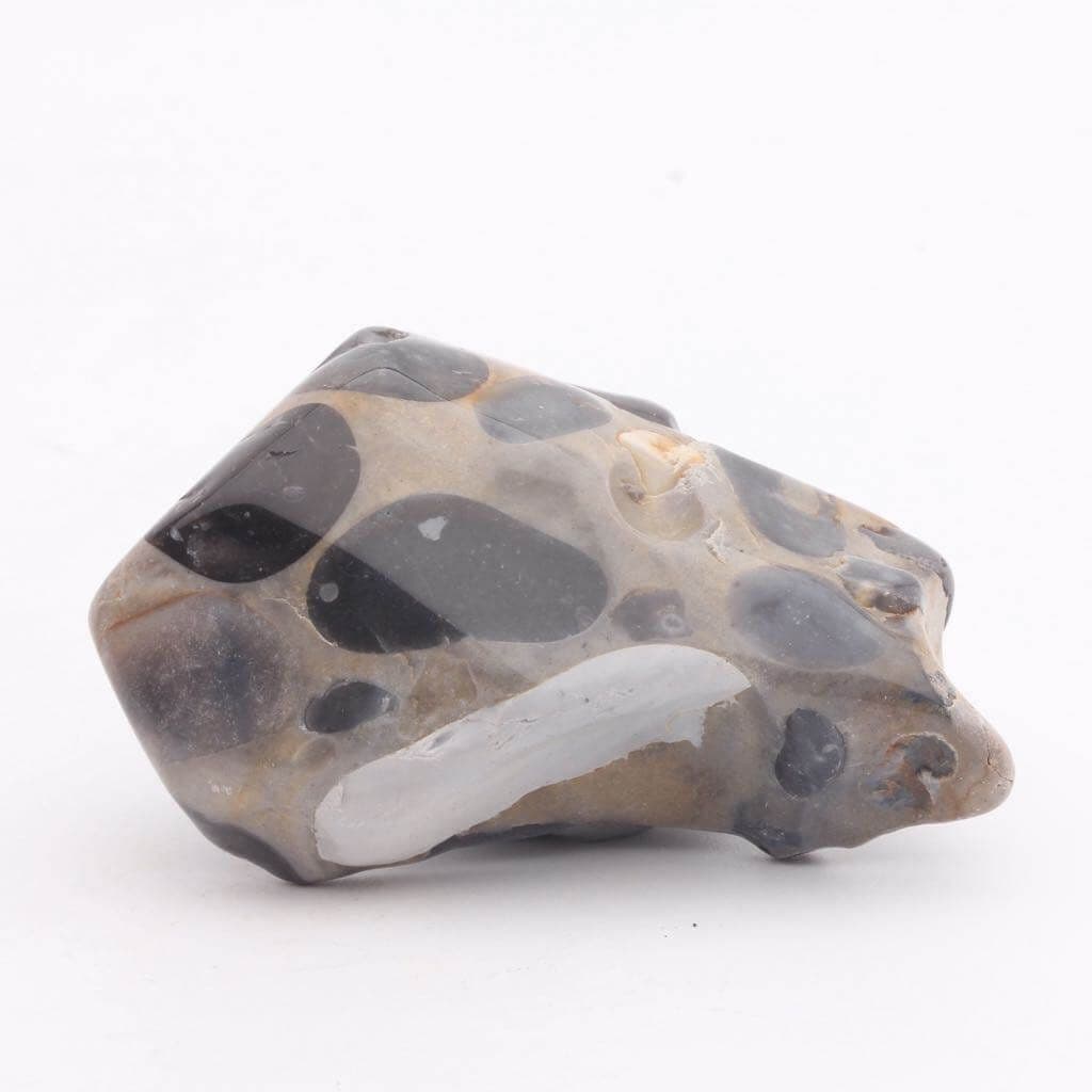 Puddingstone | KSC Crystals
