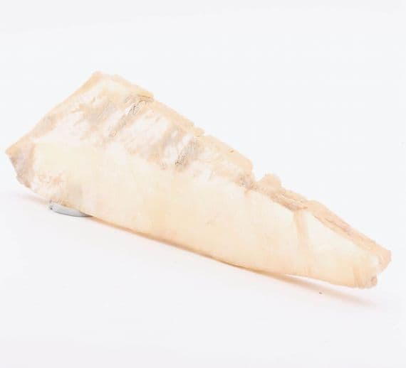 Honey Fishtail Selenite | Crystal Healing