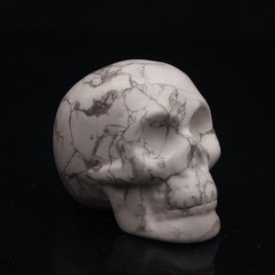 Howlite Skulls