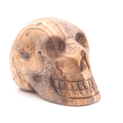 Kalahari Picture Stone Skull 10
