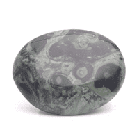 Kambaba Jasper Palmstone 12