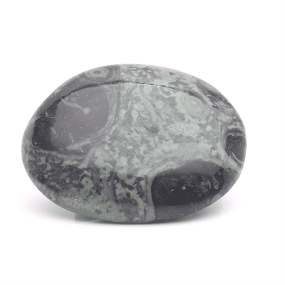 Kambaba Jasper Palmstone 12
