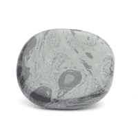 Kambaba Jasper Palmstone
