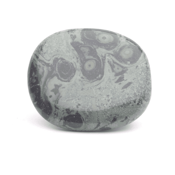 Kambaba Jasper Palmstone
