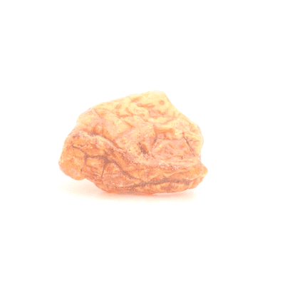 Kaurilite 13