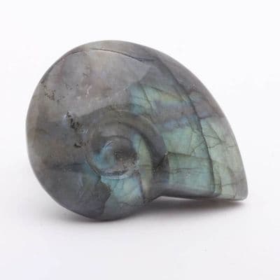 Labradorite Ammonite 2