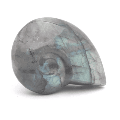 Labradorite Ammonite 2