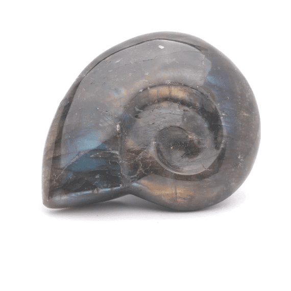 Labradorite Ammonite