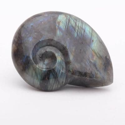 Labradorite Ammonite 5