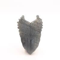 Labradorite Angel Wings