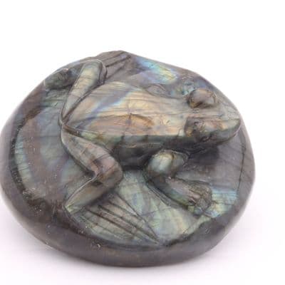 Labradorite Frog 7