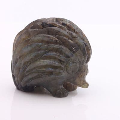 Labradorite Hedgehog 1