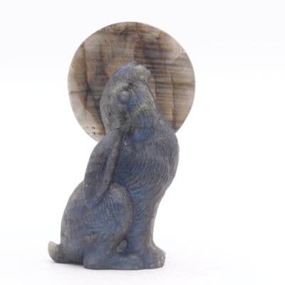 Labradorite Moon Gazing Hare 2