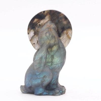 Labradorite Moon Gazing Hare 6