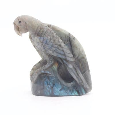 Labradorite Parrot