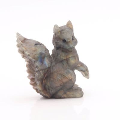 Labradorite Squirrel