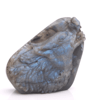 Labradorite Wolf Head