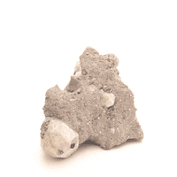 Leucite 1
