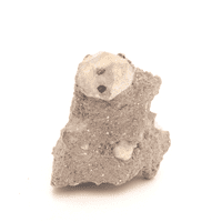 Leucite 1