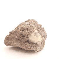 Leucite 2