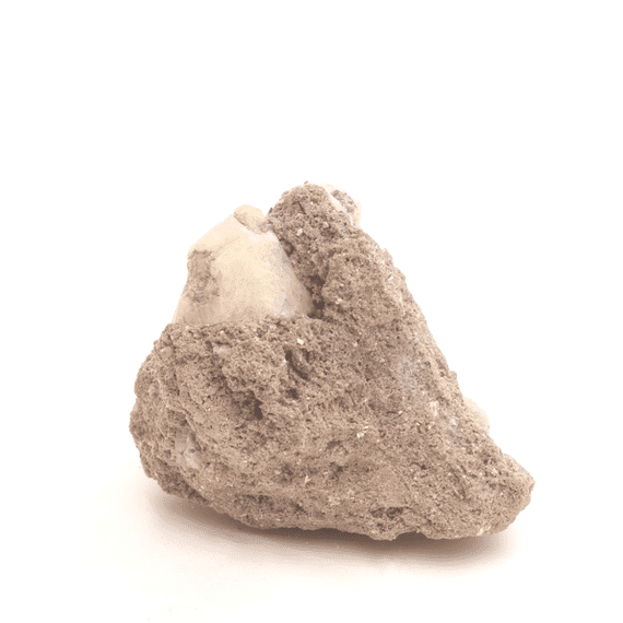 Leucite 2