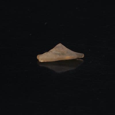 Libyan Gold Tektite 10