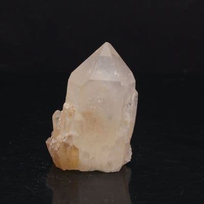 Lightbrary Quartz 12
