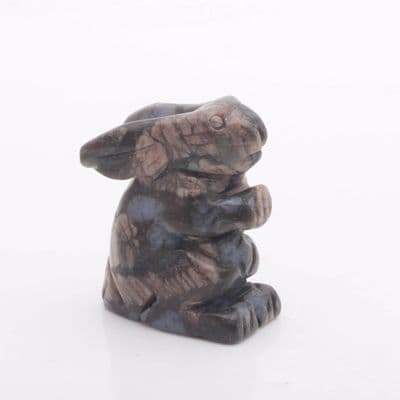 Llanite (Que Sera) Rabbit 3