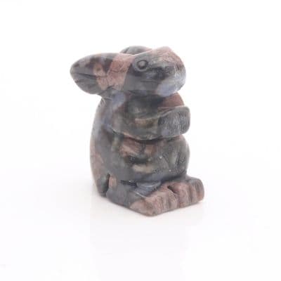 Llanite (Que Sera) Rabbit 4