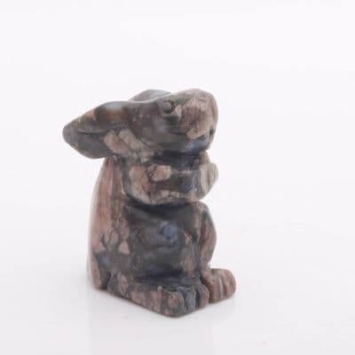 Llanite (Que Sera) Rabbit 5