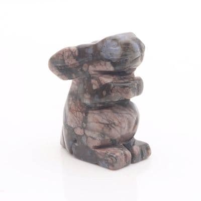 Llanite (Que Sera) Rabbit 6