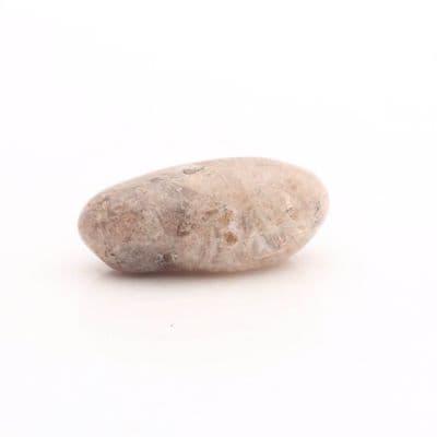Magdalena Stone 5