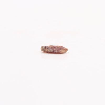 Monazite 2
