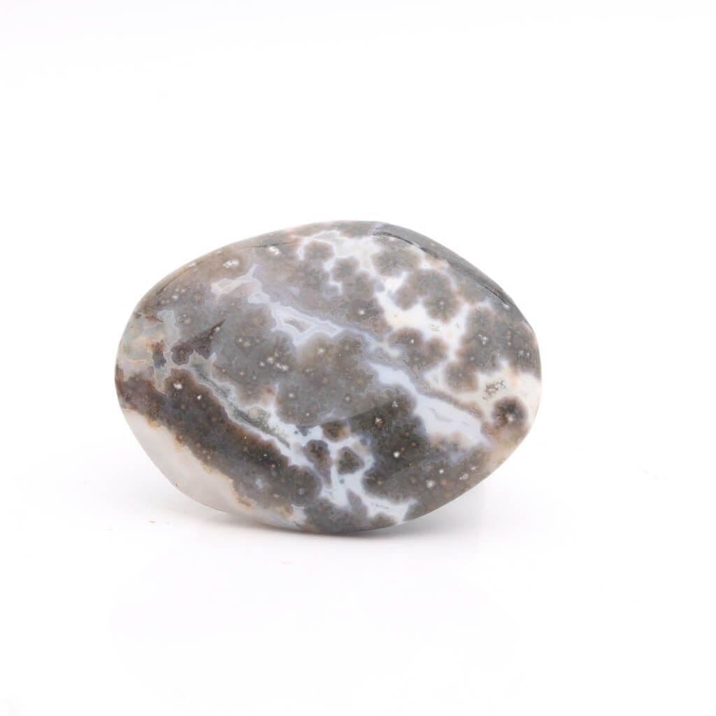 Orbicular Jasper