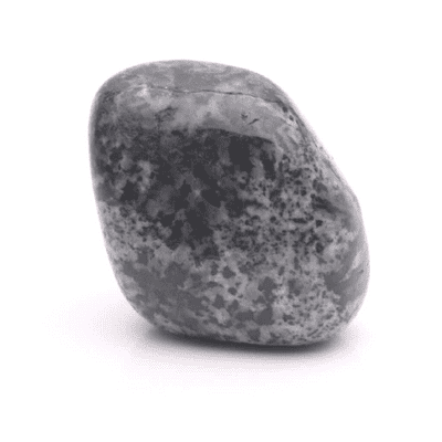 Orbiculite