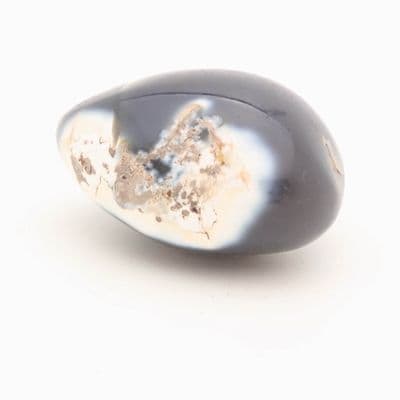 Orca Agate Pebble 11