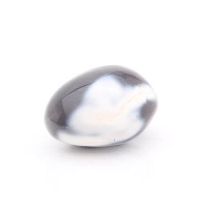 Orca Agate Pebble 5