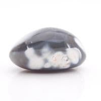 Orca Agate Pebble