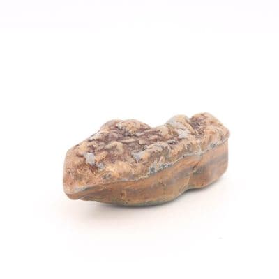 Orpheus Agate 10