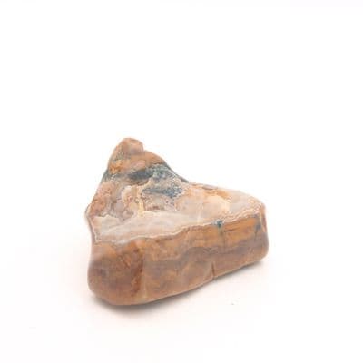 Orpheus Agate 11