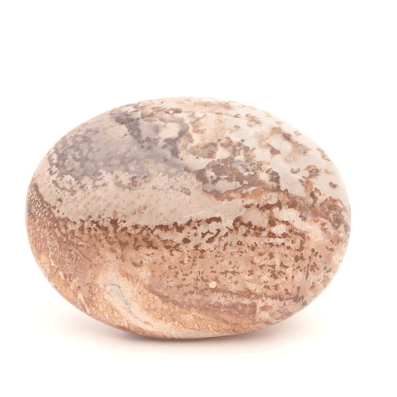 Palm Wood | Crystals For Healing