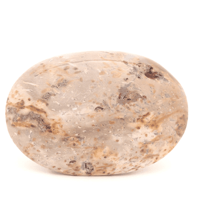 Palm Wood Palmstone 10