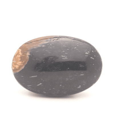 Palm Wood Palmstone 12