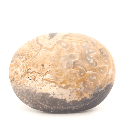 Palm Wood Palmstone 4